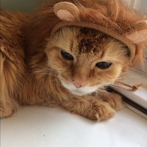 Meet your Posher, Delaney